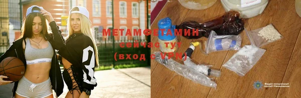 гидра Богданович