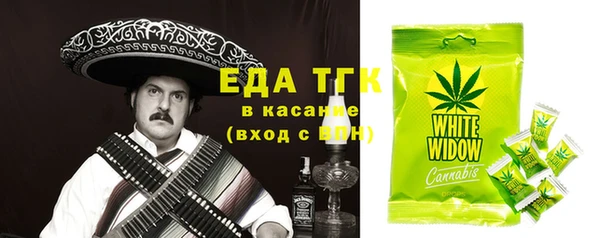 spice Богородицк