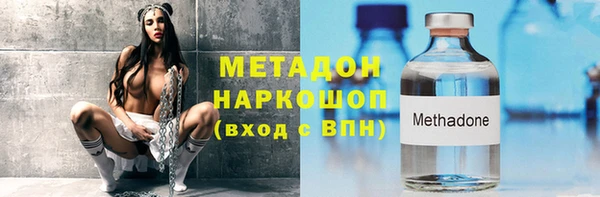 гидра Богданович