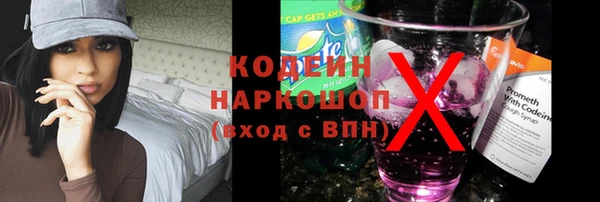 гидра Богданович