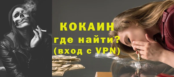 spice Богородицк