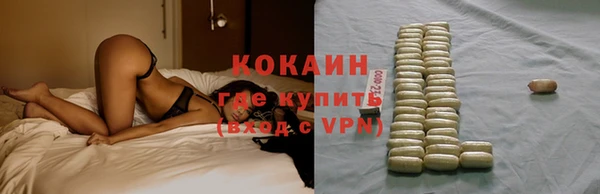 spice Богородицк