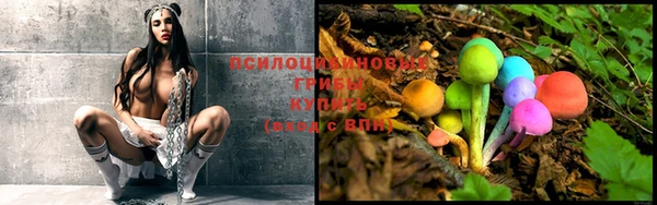 spice Богородицк