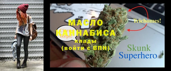 spice Богородицк