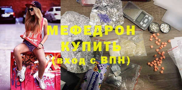 spice Богородицк