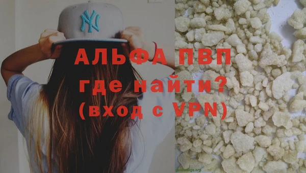 spice Богородицк