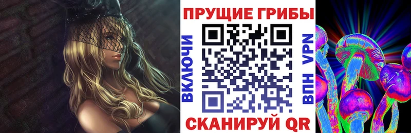 площадка Telegram  Лиски  Галлюциногенные грибы GOLDEN TEACHER 